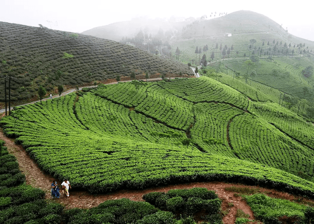 Darjeeling