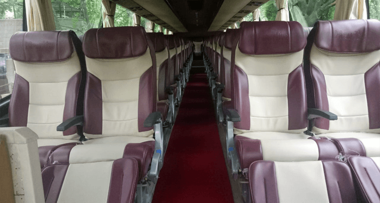 Bus image 3