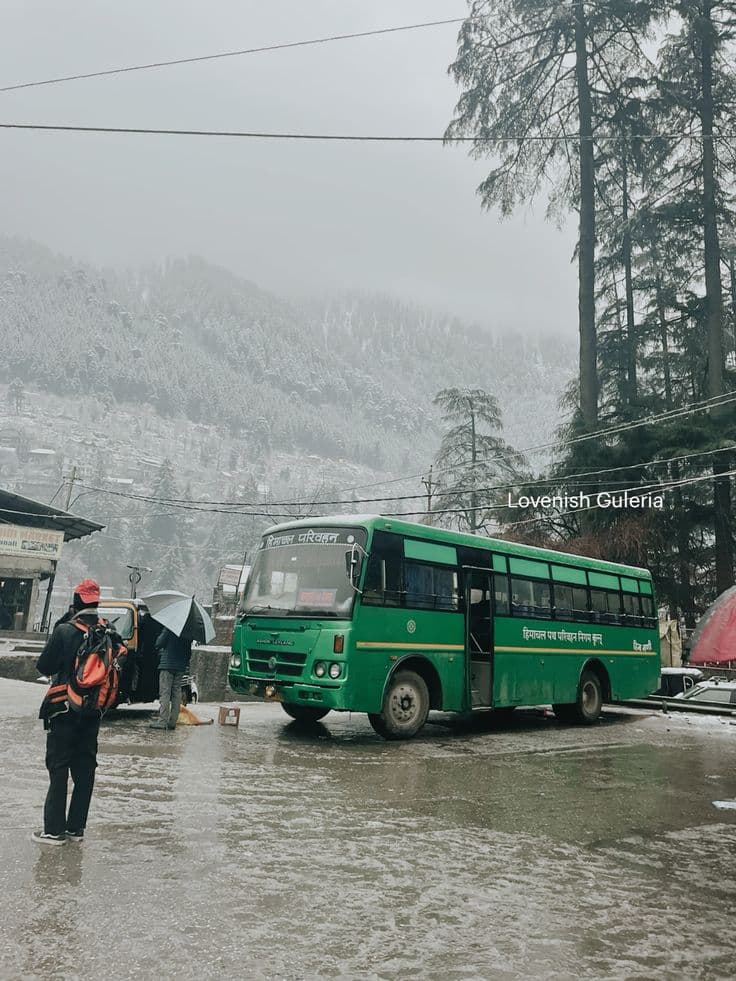 Bus
